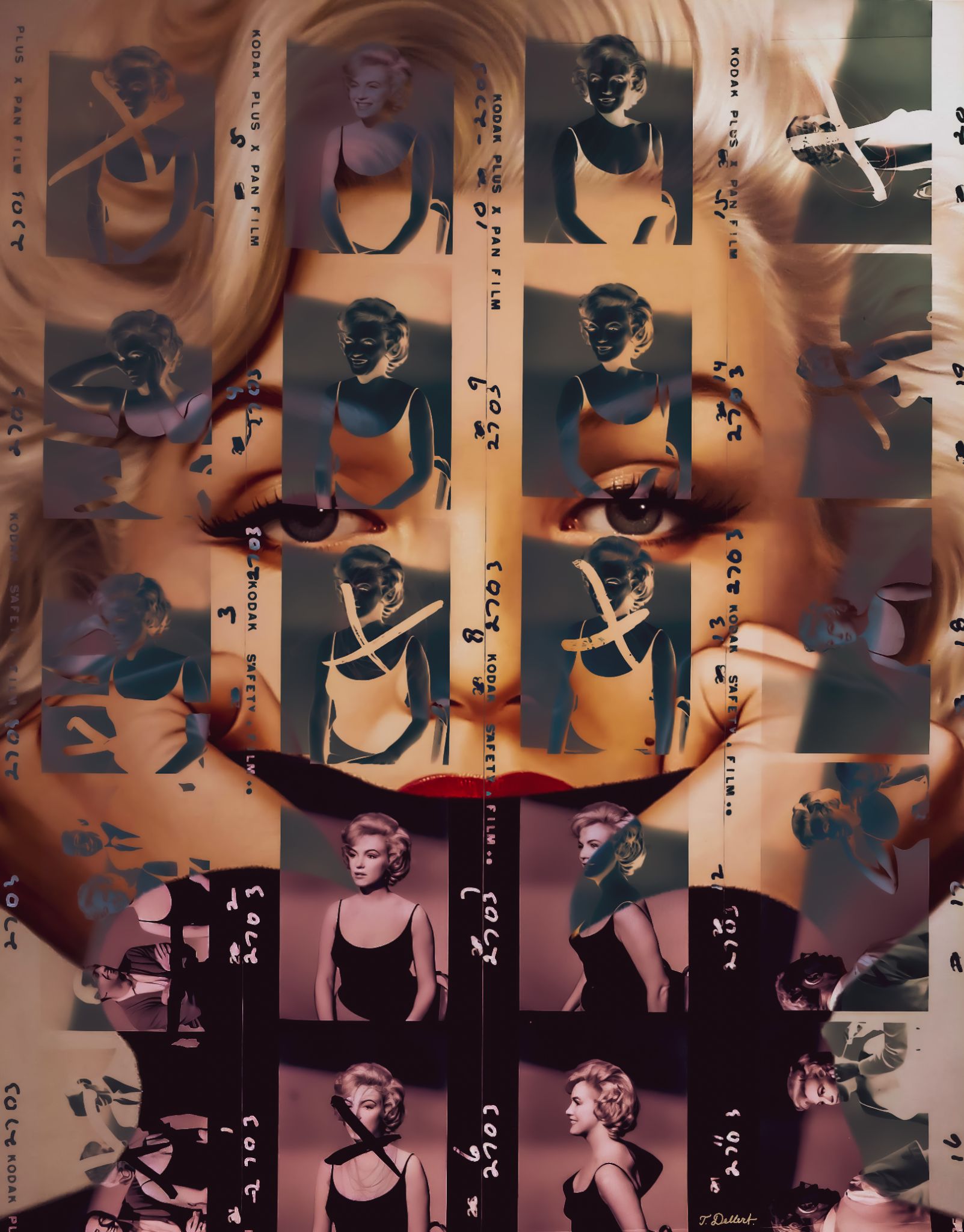 The Look of Marilyn
